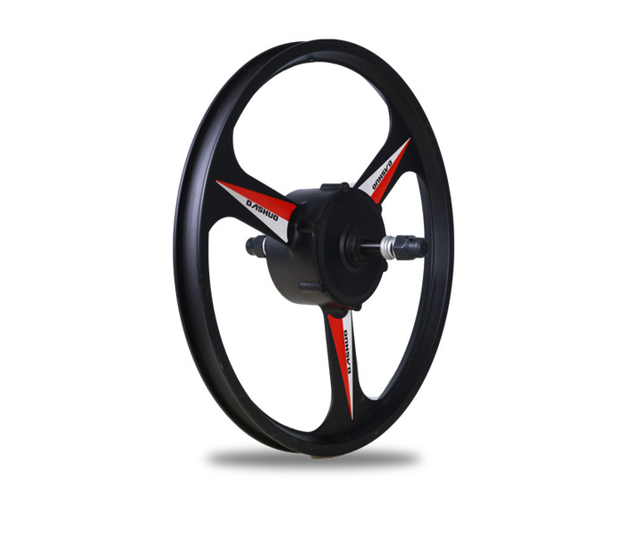 HALO-90-20M BLDC Rear Gear Motor